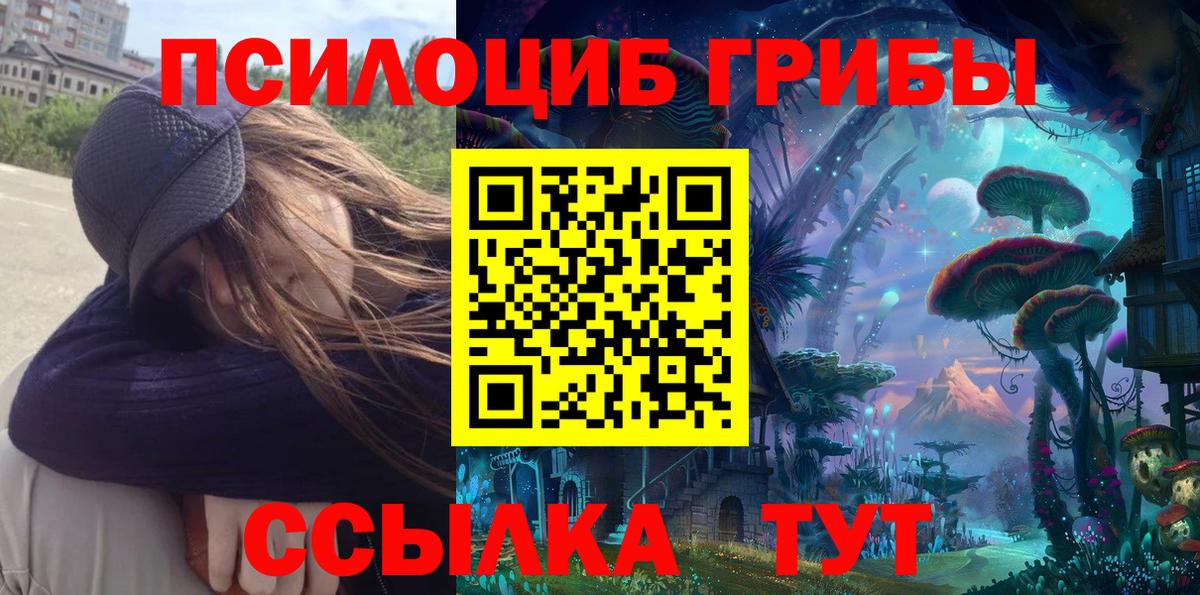 сколько стоит  Вход с VPN  Лениногорск  Псилоцибиновые грибы Magic Shrooms 