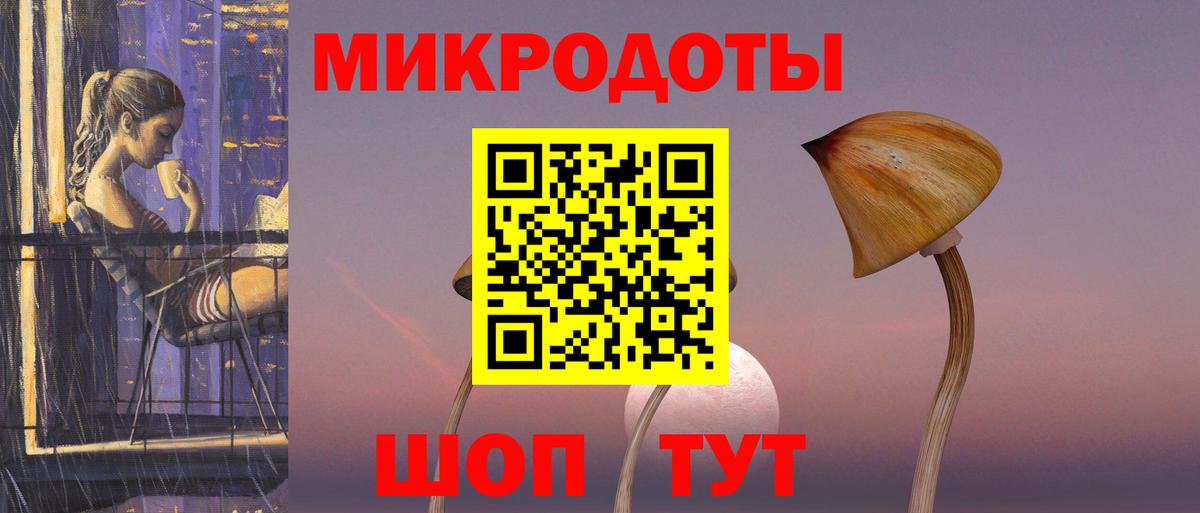Псилоцибиновые грибы Psilocybine cubensis Лениногорск